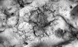 抽象黑白水墨大理石纹素材