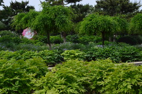 公园风景  