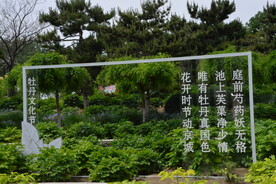 公园风景 
