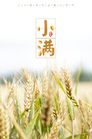 小满节气海报 
