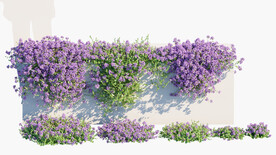 C4D模型 爬山虎
