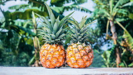菠萝