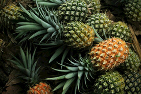 菠萝