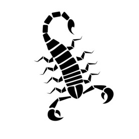 蝎子