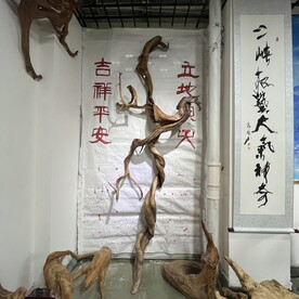 三峡根雕动物园