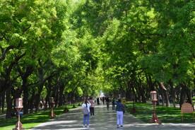 公园风景