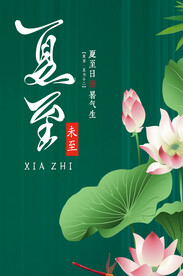  夏至节气海报 中国风荷花  