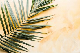 质感植物背