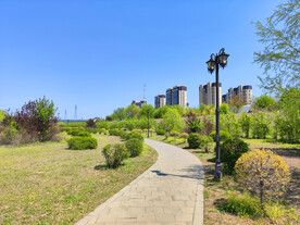 公园