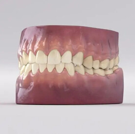 C4D模型牙齿