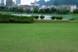 绿草坪