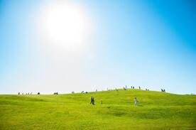 蓝天草地