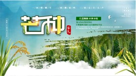 芒种海报
