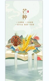 芒种海报