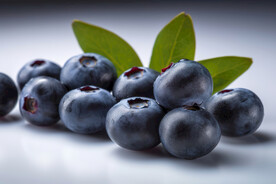 蓝莓 