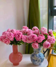 芍药
