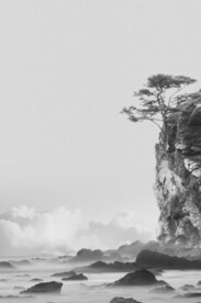 国风水墨 