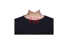 女圆领证件照衣服素材psd