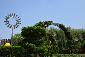 公园风景 