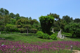 公园风景