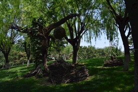 公园风景 