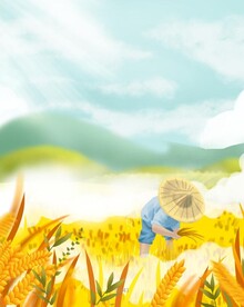 芒种素材