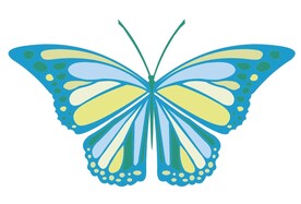 蝴蝶