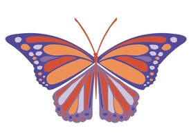 蝴蝶