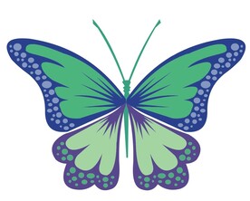 蝴蝶