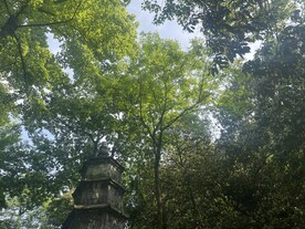 灵隐寺风景