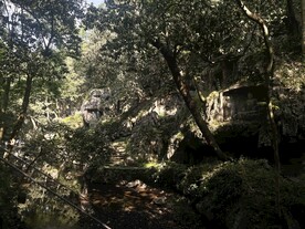 灵隐寺风景