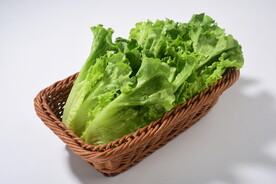 生菜