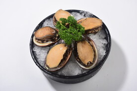 小鲍鱼
