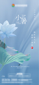 小暑图片