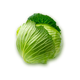 包菜