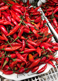 红辣椒