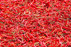 红辣椒