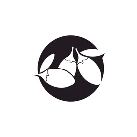 枸杞