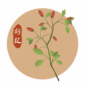 枸杞