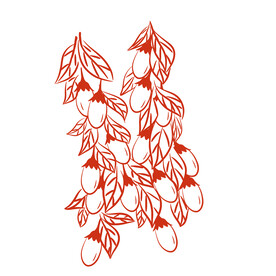 枸杞