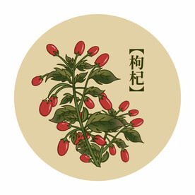 枸杞