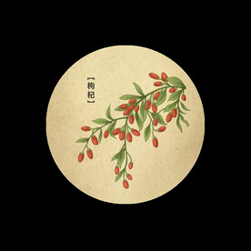 枸杞