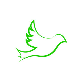 鸽子