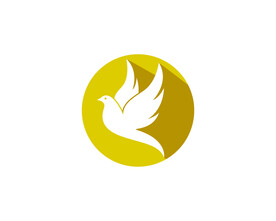 鸽子