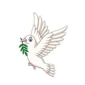 鸽子