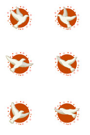 鸽子