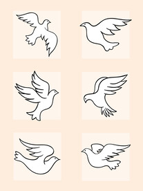 鸽子