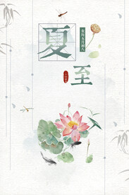 立夏荷花海报