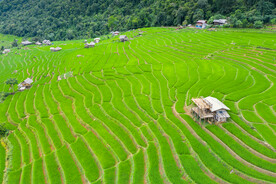 田园风光