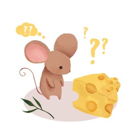 小动物卡片  